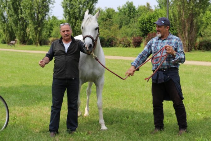 Oasi degli Amici Animali
